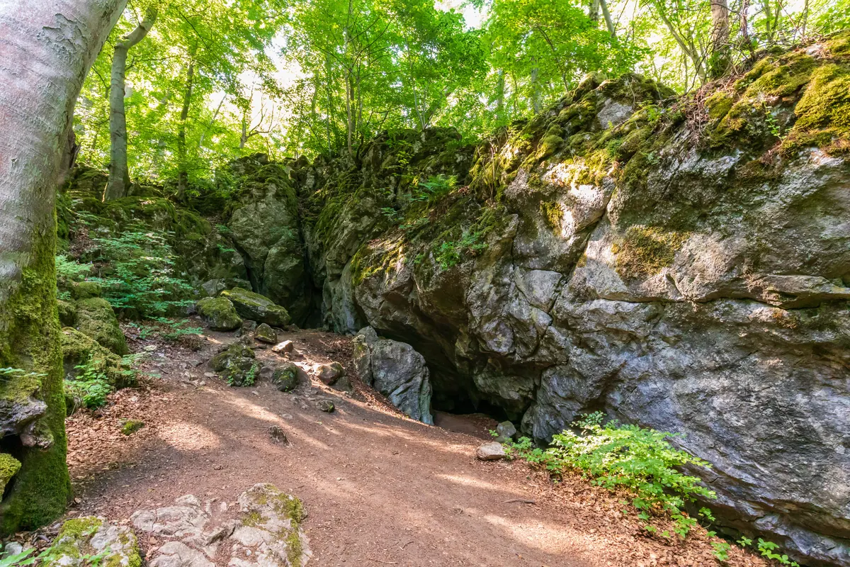 Ein Höhleneingang in einer bewaldeten Felswand bei Erdbach